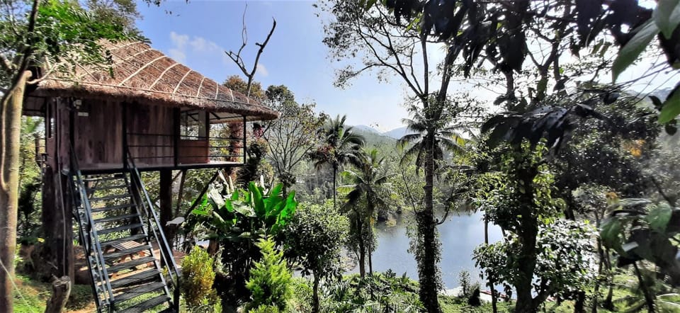 Noah's Nest Tree House Vacation rental in Kerala