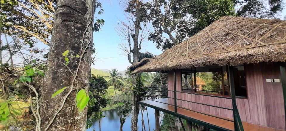 Noah's Nest Tree House Vacation rental in Kerala
