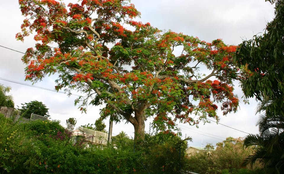 Natural landscape