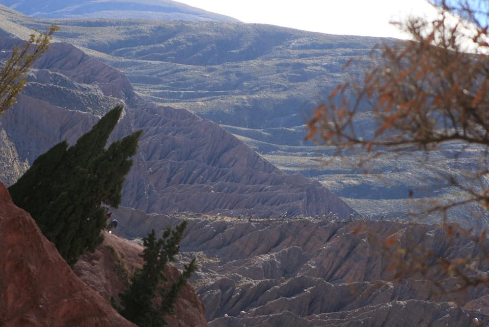 Natural landscape