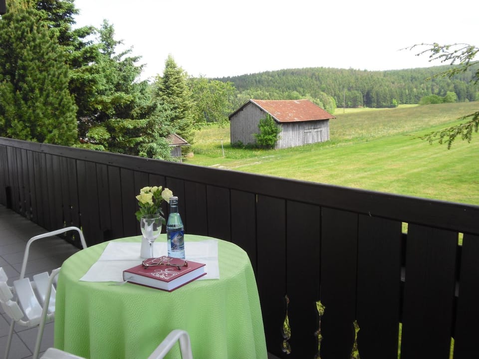 View (from property/room), Balcony/Terrace