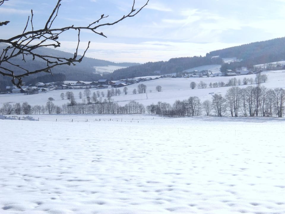 Natural landscape, Winter