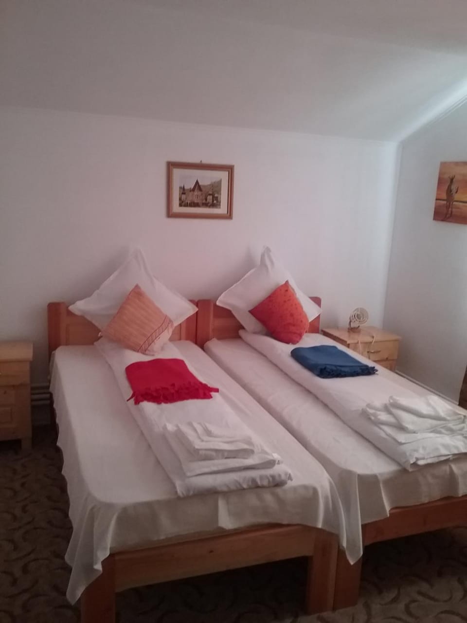 Pensiunea Magura Bed and Breakfast in Romania