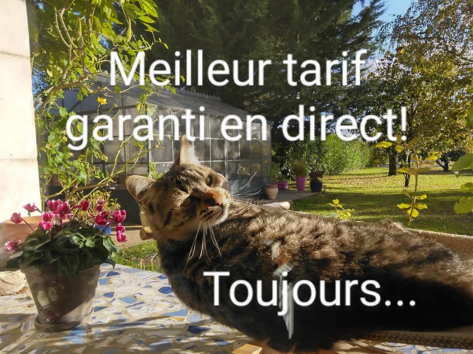 Pets