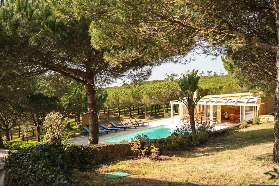 Natural landscape, Swimming pool