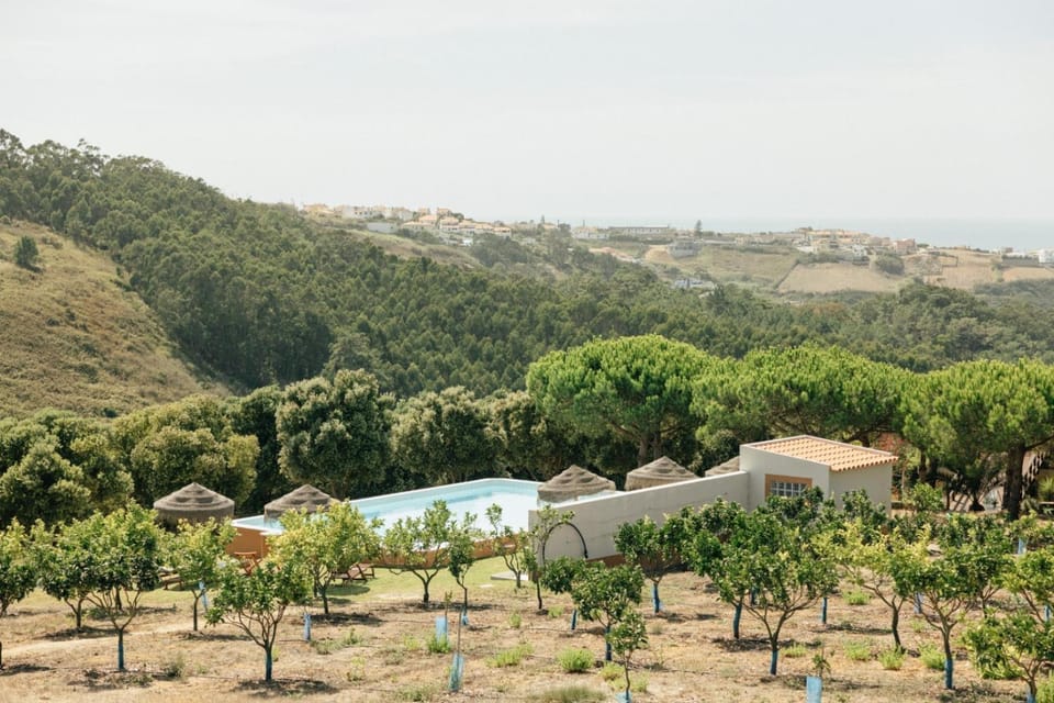 Day, Natural landscape, Garden view, Swimming pool