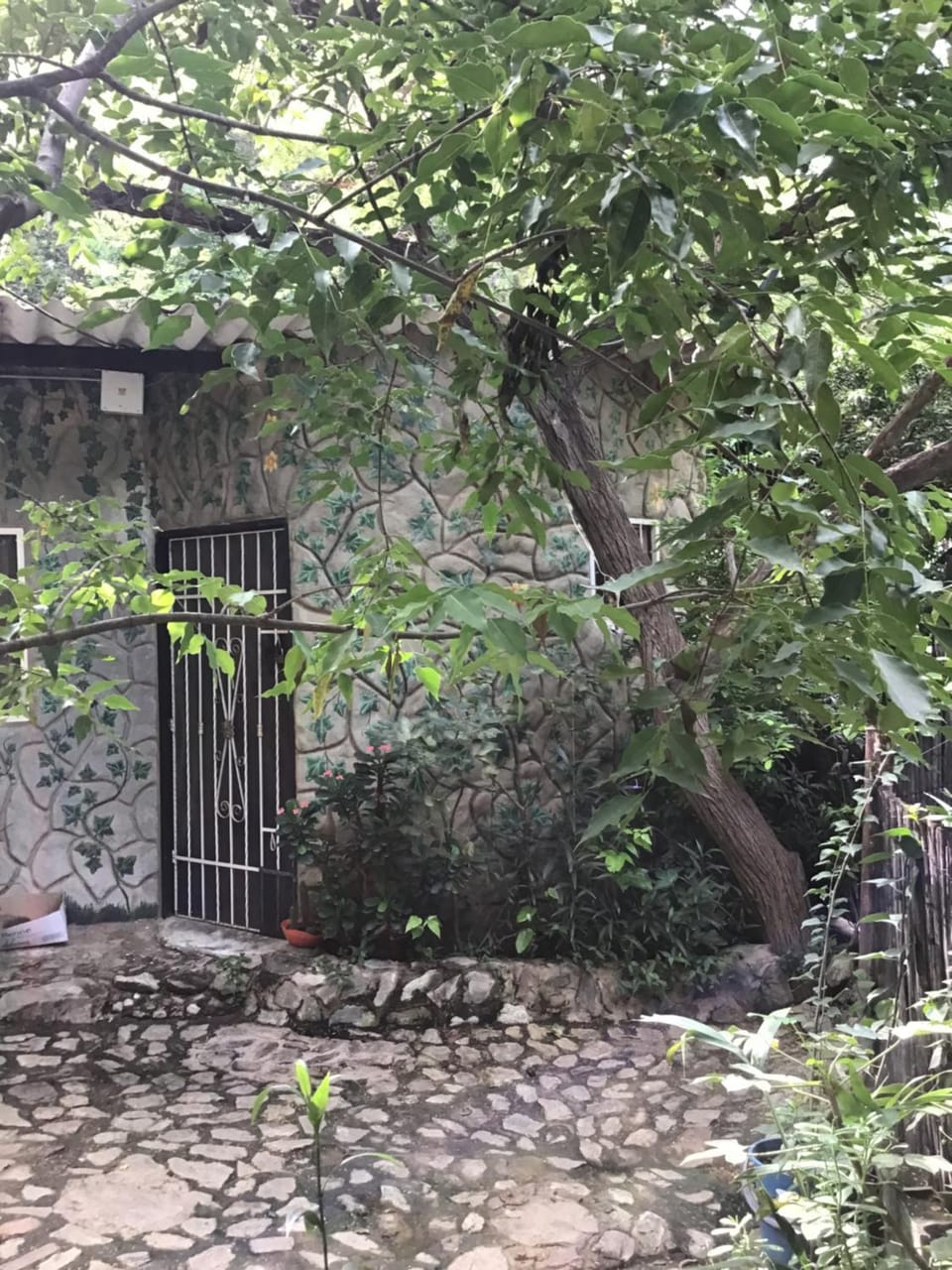 Casa Bella Bed and Breakfast in Taganga