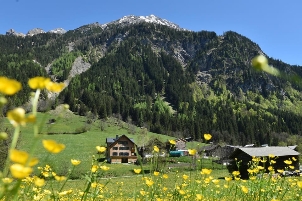 Natural landscape