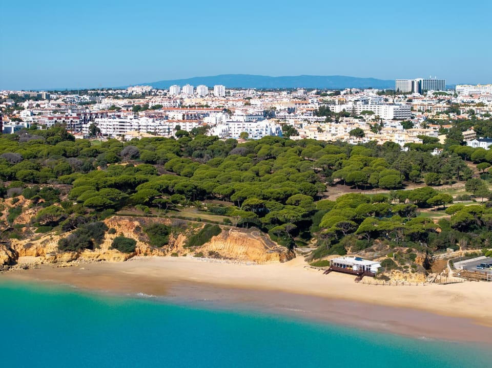 Natural landscape, Bird's eye view, Beach, Sea view