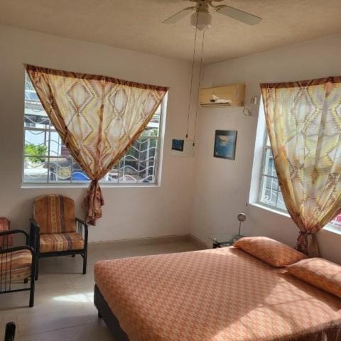 Dolphin Inn Guesthouse & Apartments Bed and Breakfast in Oistins