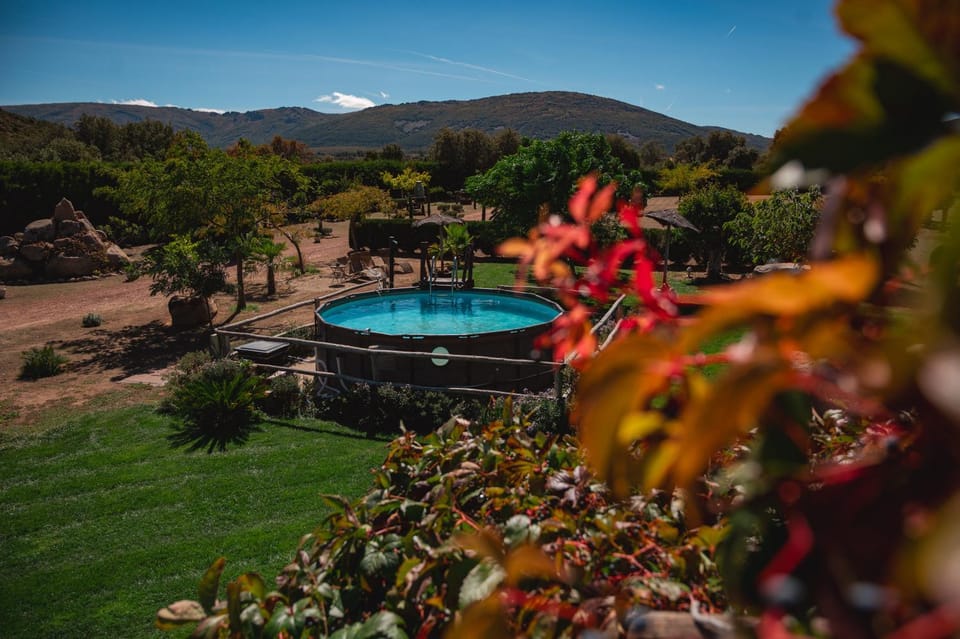 Spring, Day, Natural landscape, Garden, Garden view, Landmark view, Mountain view, Pool view, Swimming pool