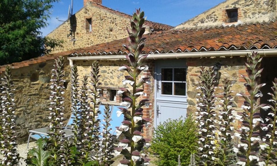 Chambres d'hôtes les Hautes Papinières Bed and Breakfast in Pays de la Loire