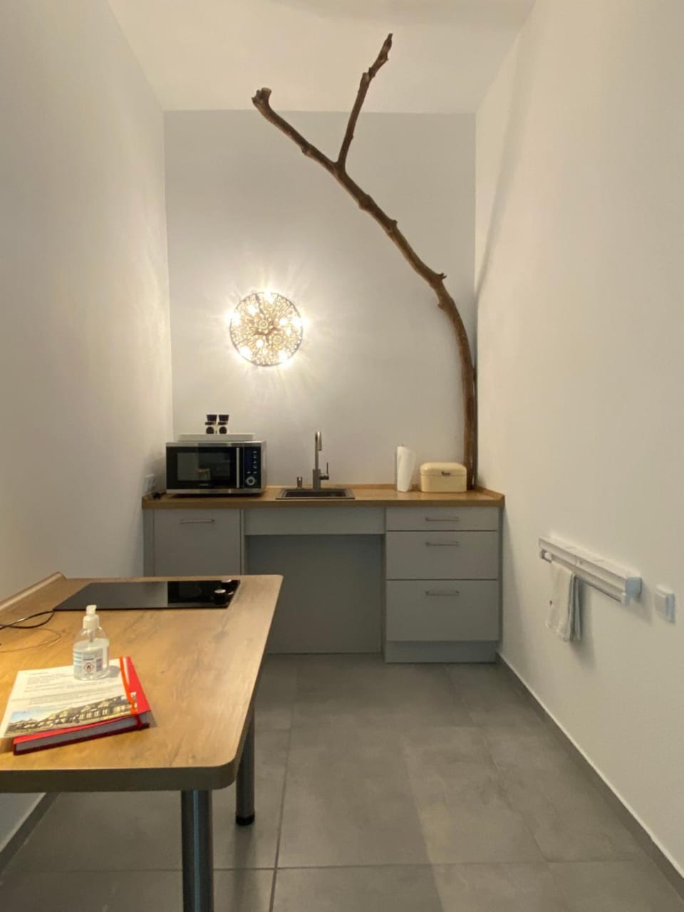 Kitchen or kitchenette, Facility for disabled guests, kitchen