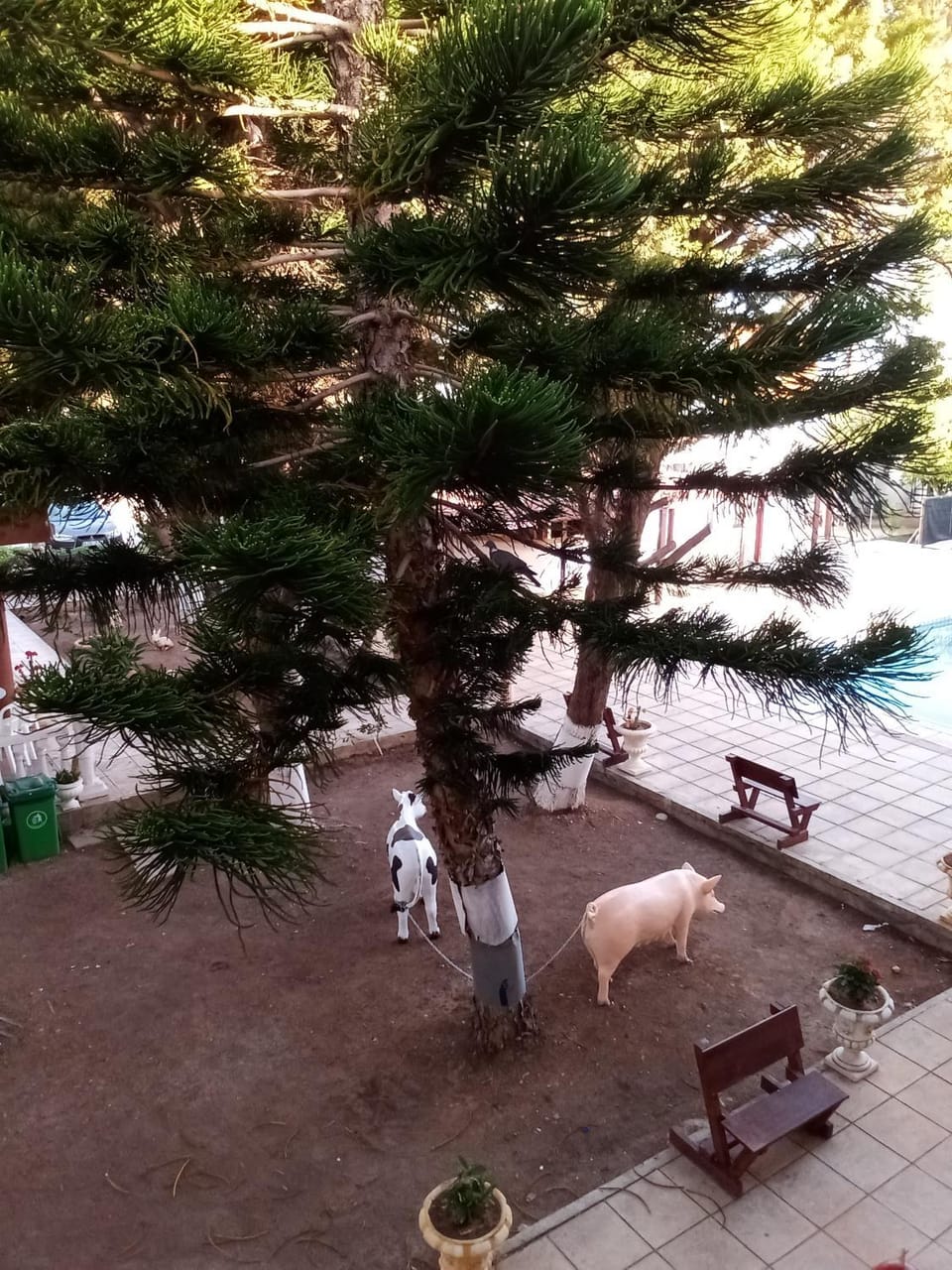 anastasia holiday apartments Apartment in Paphos District