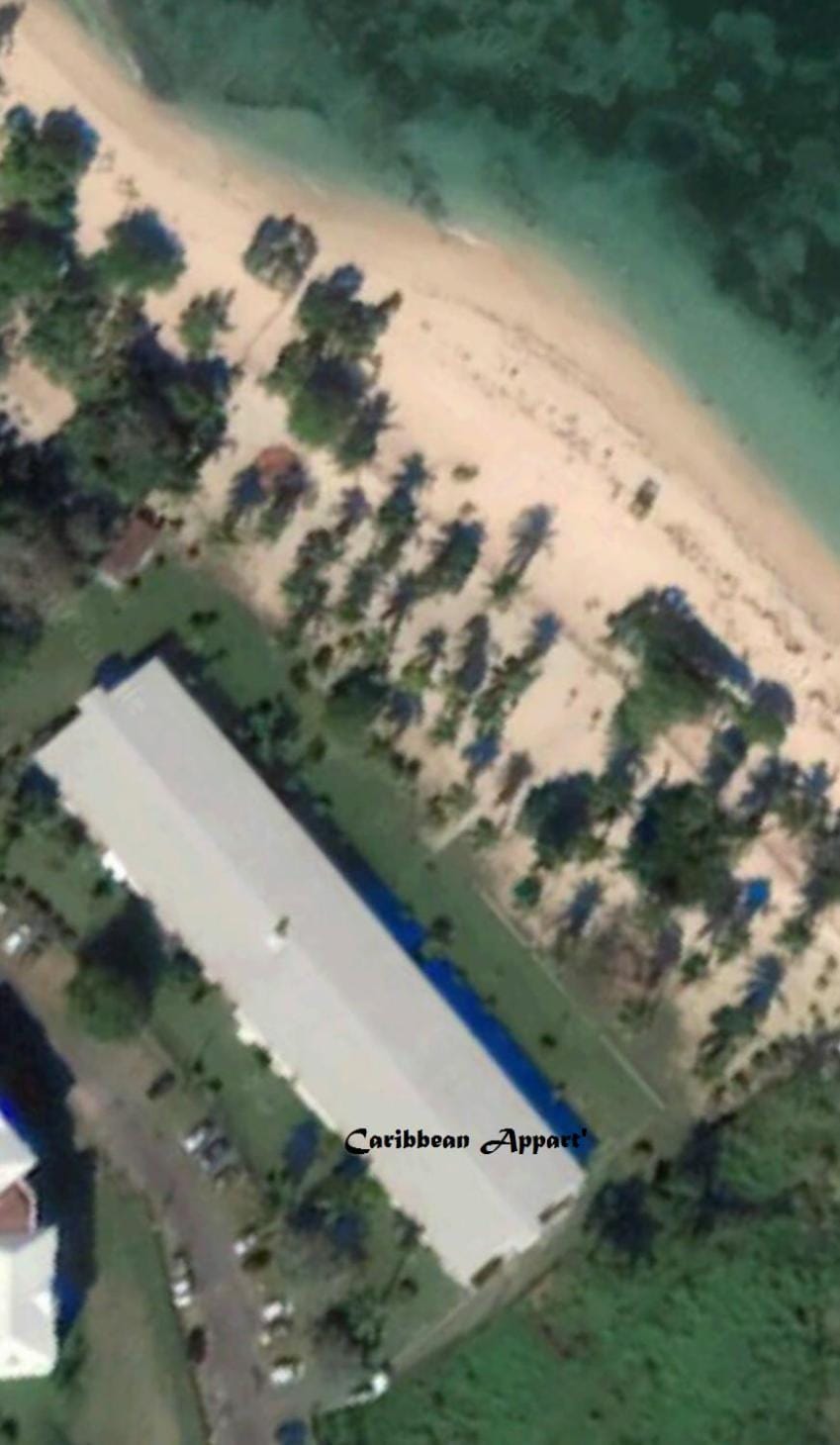Bird's eye view, View (from property/room), Beach