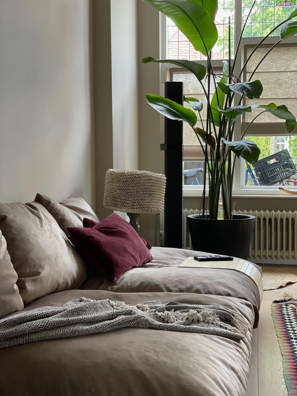 Stylish * Sunny * Cosy House Apartment in Haarlem