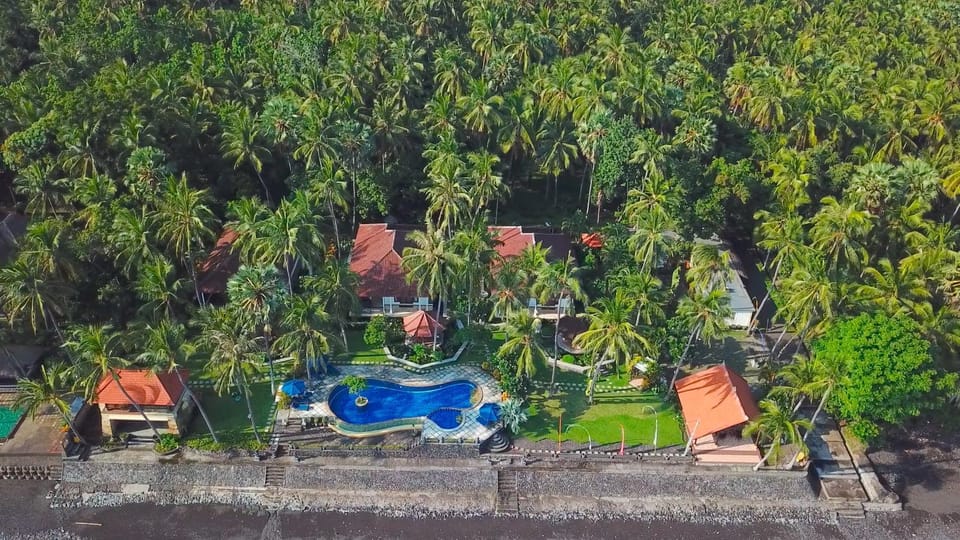 Bird's eye view, Garden, Swimming pool