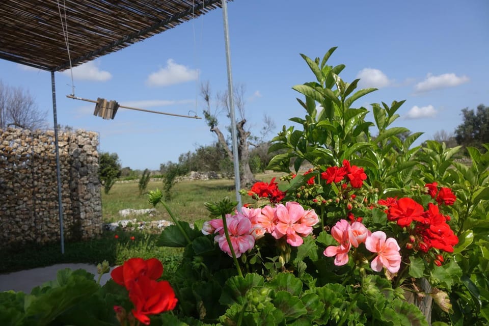 Spring, Garden, View (from property/room)