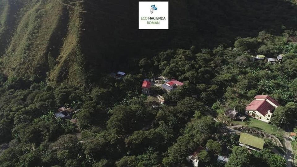 Property building, Natural landscape, Bird's eye view, Mountain view
