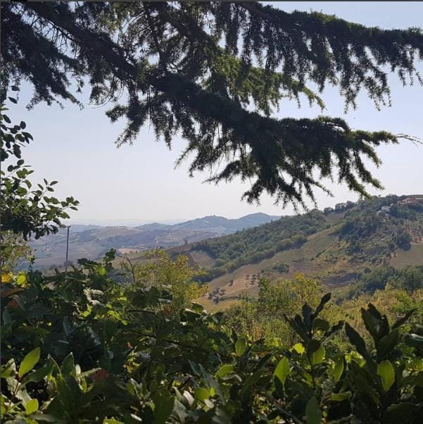 Natural landscape