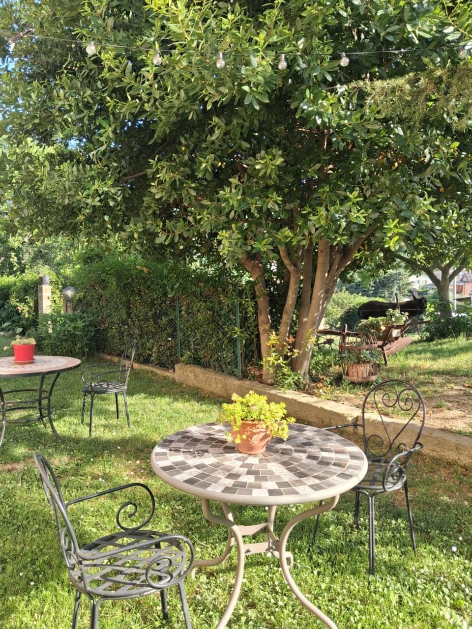 Agriturismo Bellavista Farm Stay in Abruzzo