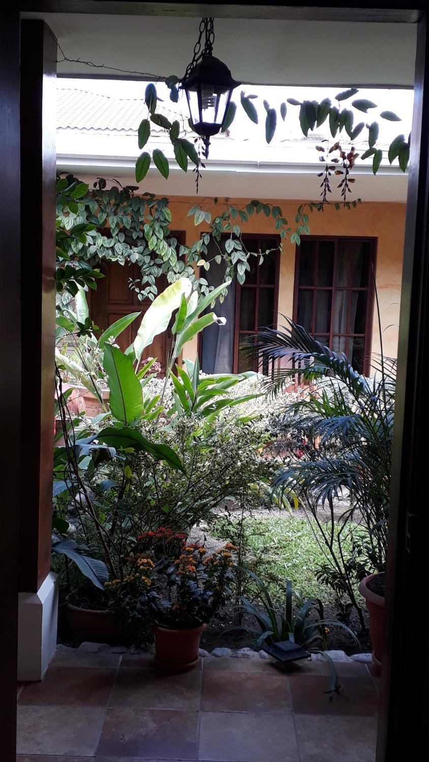 Garden view
