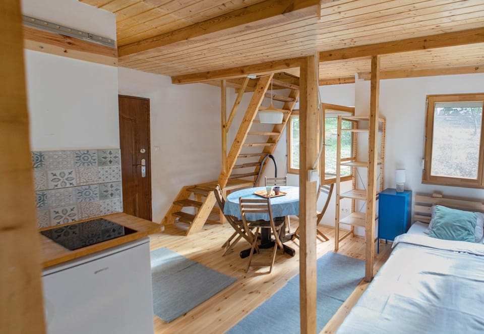 Bed, Kitchen or kitchenette, Photo of the whole room, Dining area, Bedroom