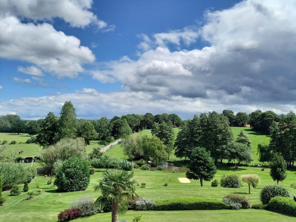 Garden view