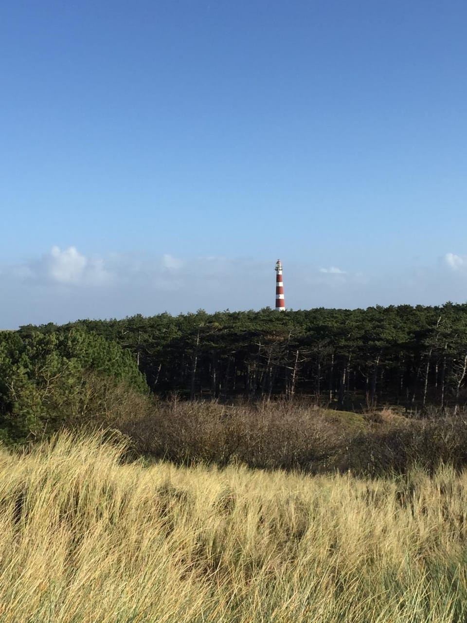 Nearby landmark