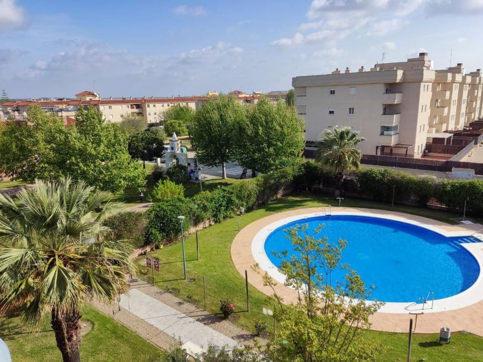 Property building, Day, Garden, Garden view, Pool view, Swimming pool