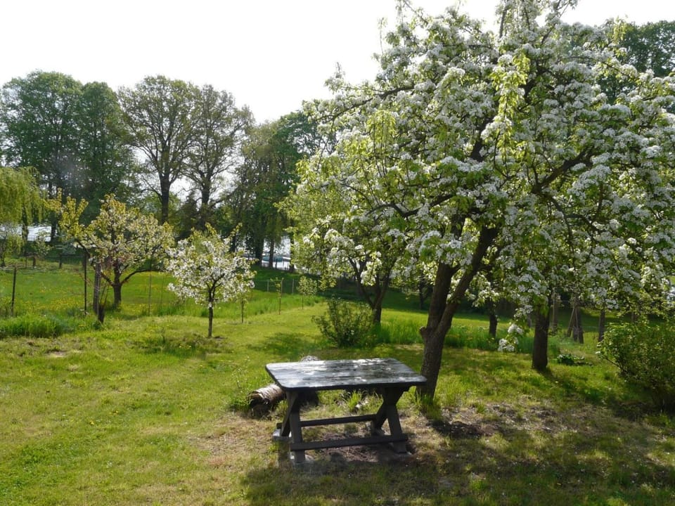 Das Haus am See House in Röbel