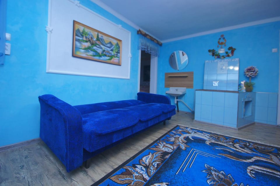 Аня Рома Bed and Breakfast in Ukraine