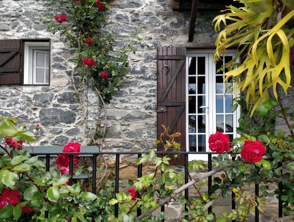 Property building, Garden, Garden view