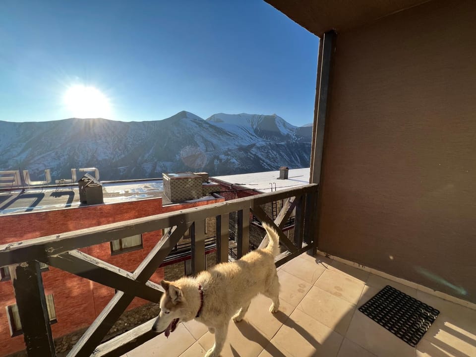 Day, Natural landscape, Winter, View (from property/room), Balcony/Terrace, Dining area, Mountain view