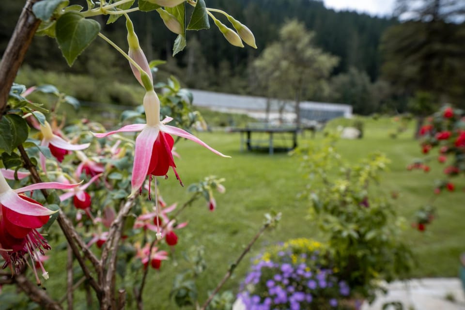 Pension Pilsachhof Bed and Breakfast in Carinthia, Austria