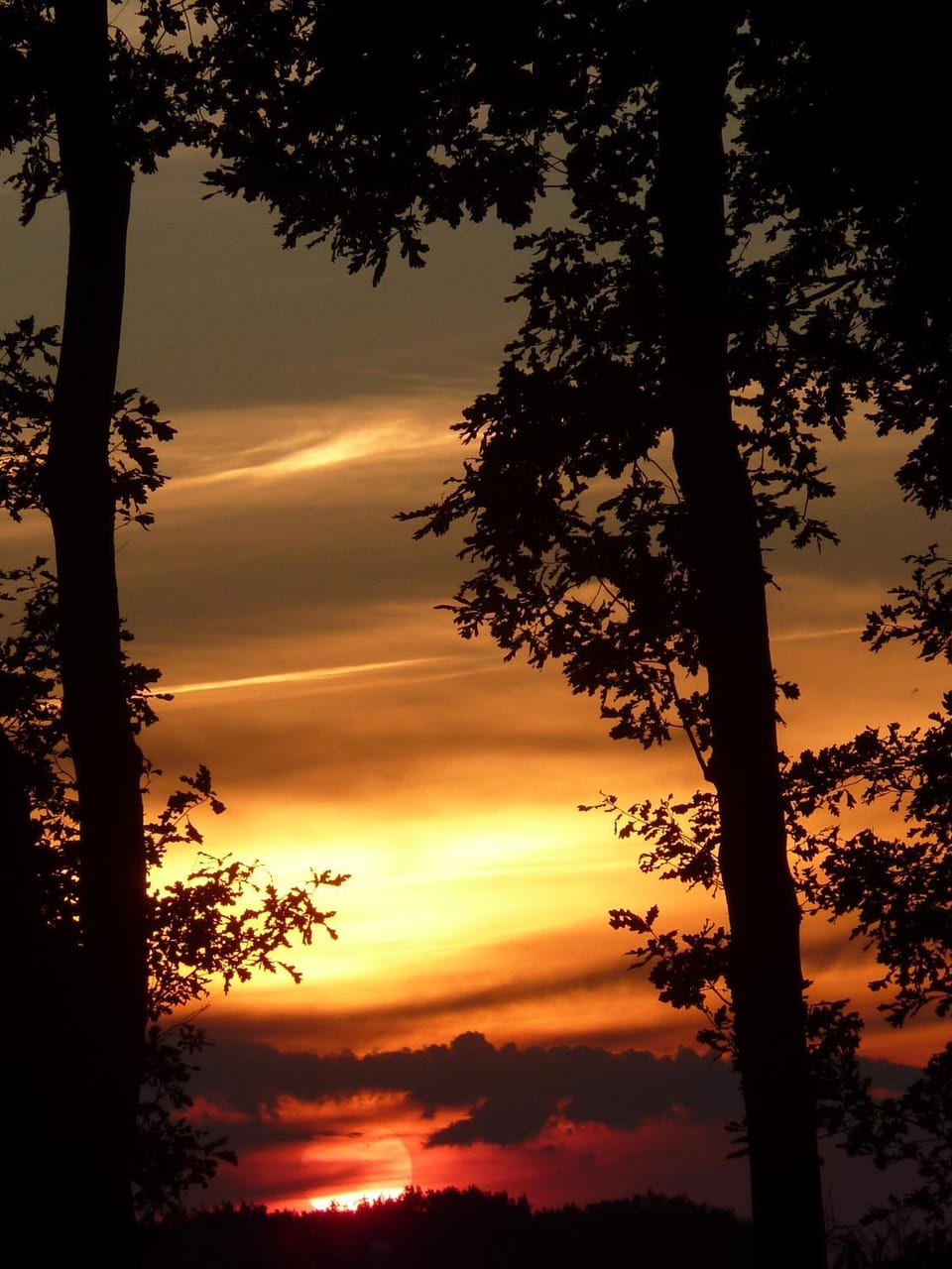 Spring, Natural landscape, Summer, On site, Sunset