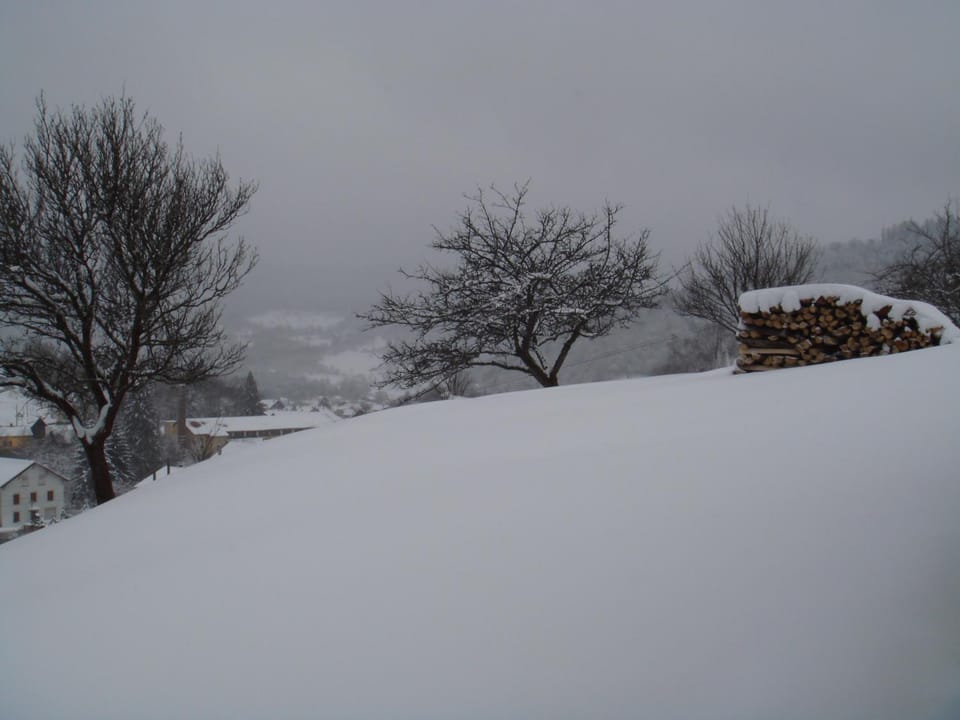 Winter, City view, Garden view, Mountain view