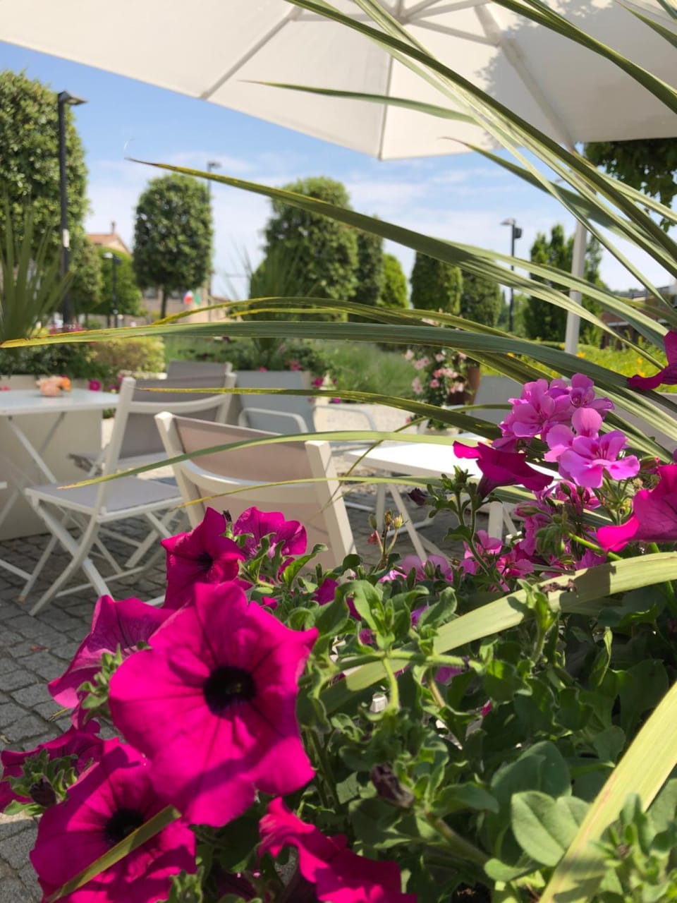Patio, Balcony/Terrace