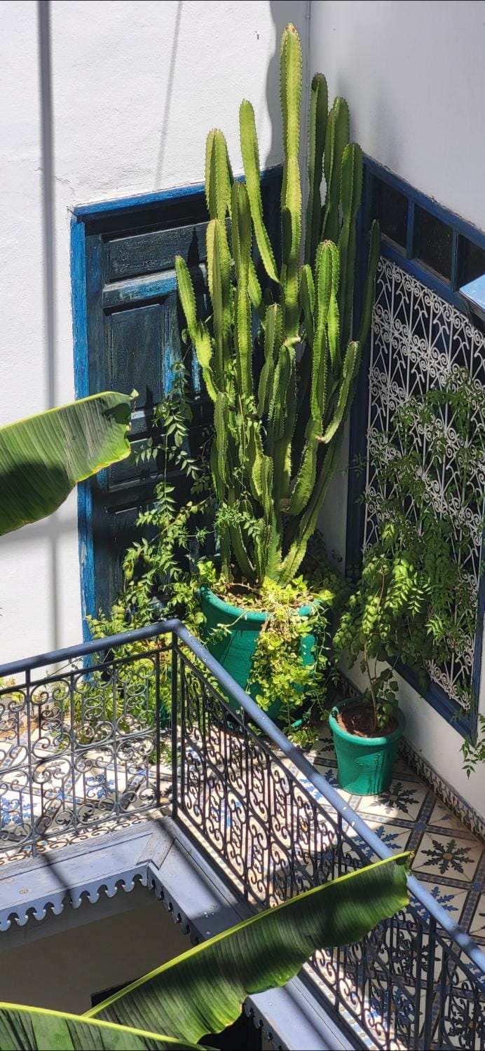 Riad Aloes & Spa Riad in Marrakesh