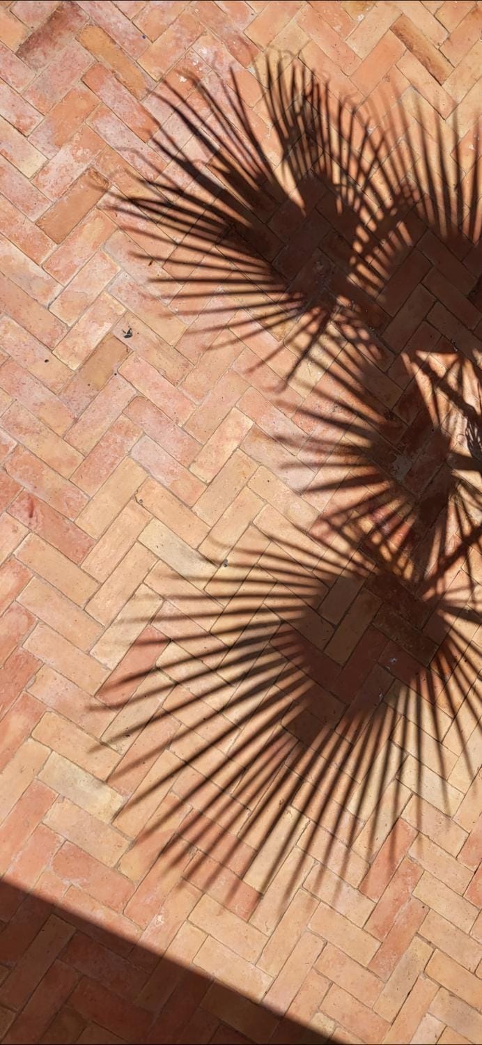Riad Aloes & Spa Riad in Marrakesh