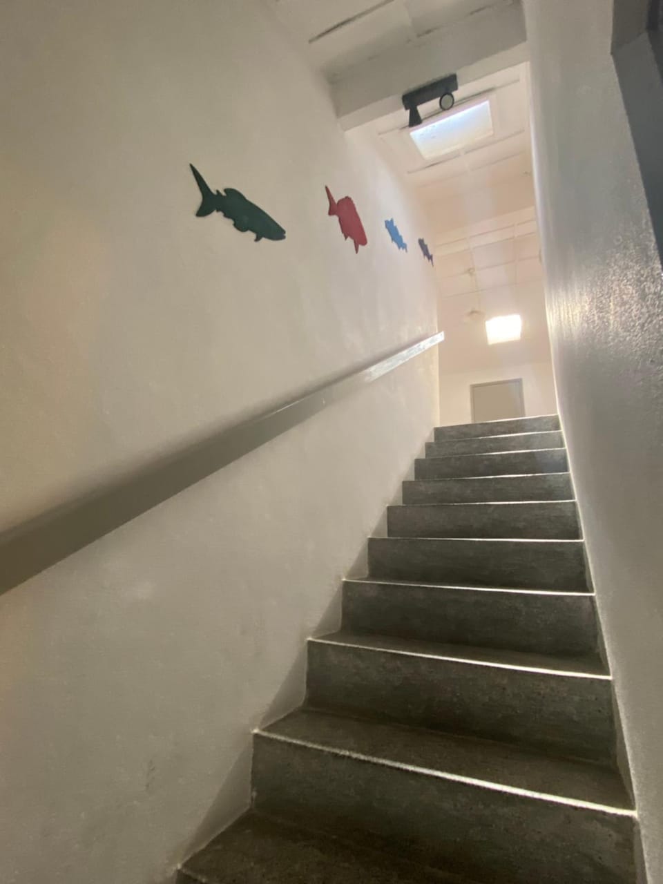 Eskama guest house Hostel in Portugal