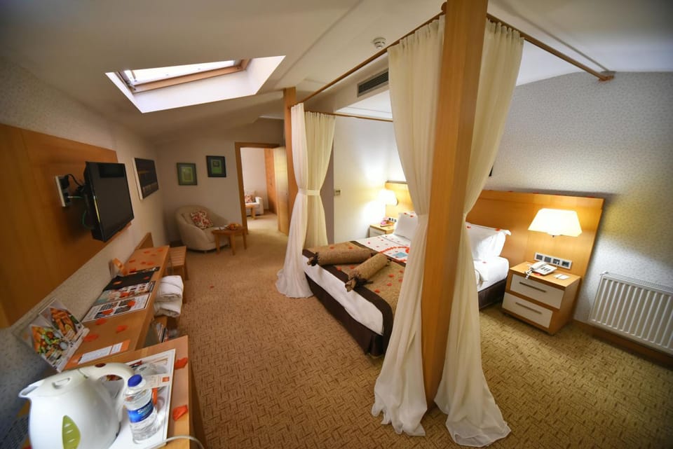Photo of the whole room