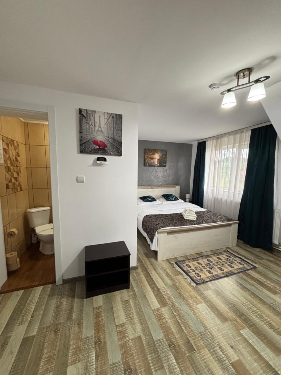 Casa Sofia Dorna Candrenilor Bed and Breakfast in Romania