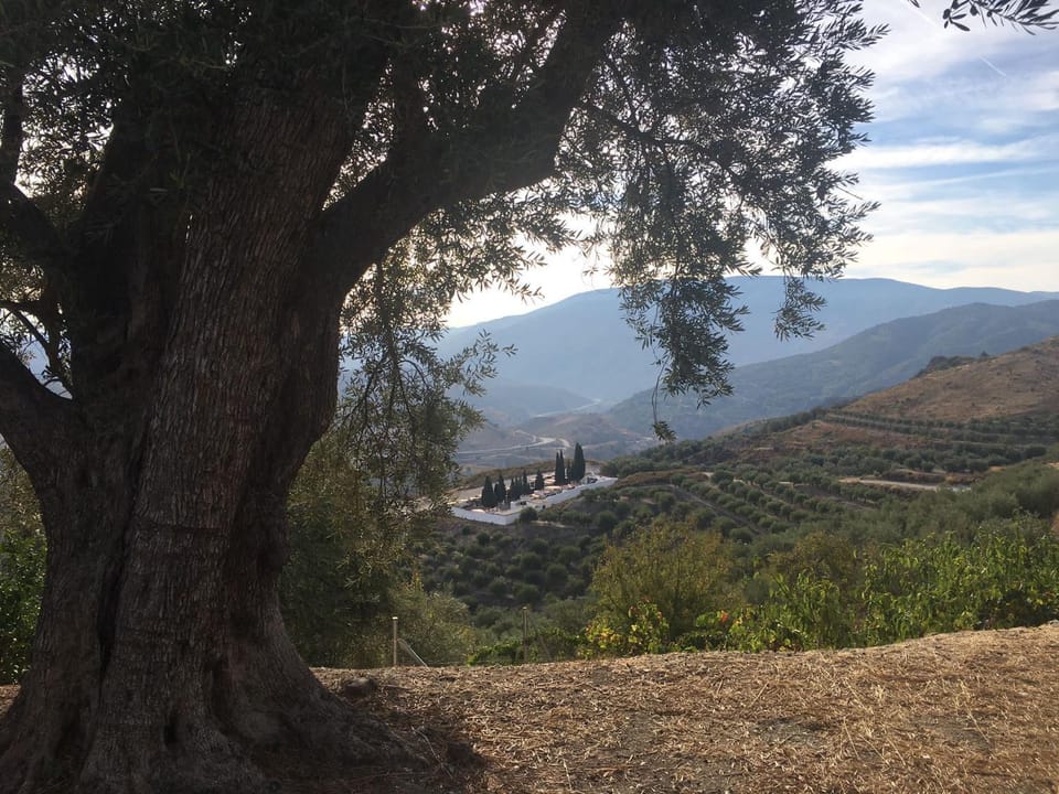 Jardin Andaluz veleta Apartment in Andalusia