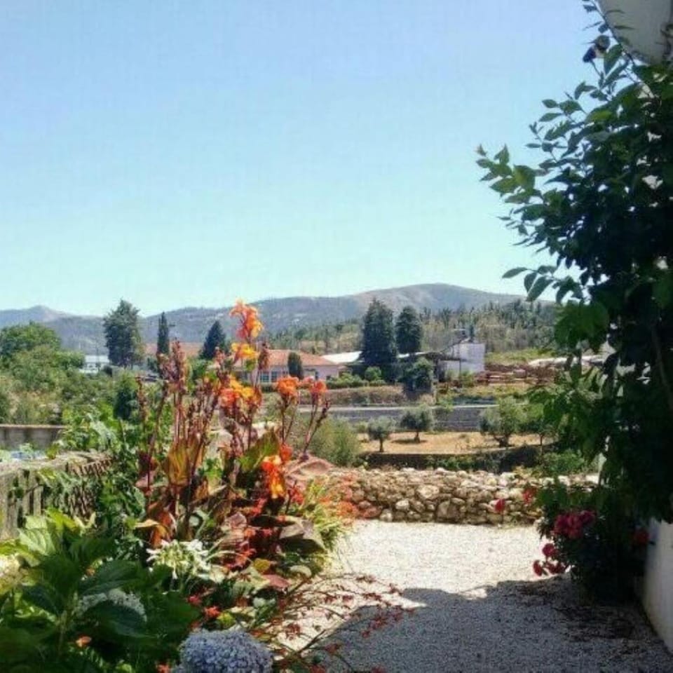 Garden, Garden view, Mountain view