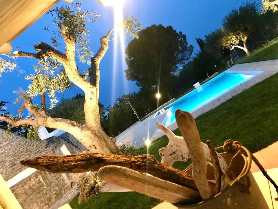 Garden, Swimming pool, Swimming pool