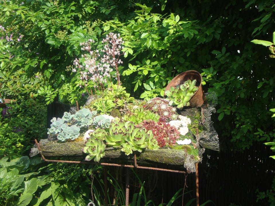 Tauchparadies Kreidesee Apartment in Schleswig-Holstein