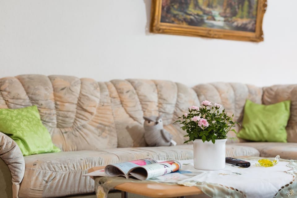 Ferienwohnung Harzblick Apartment in Lower Saxony, Germany