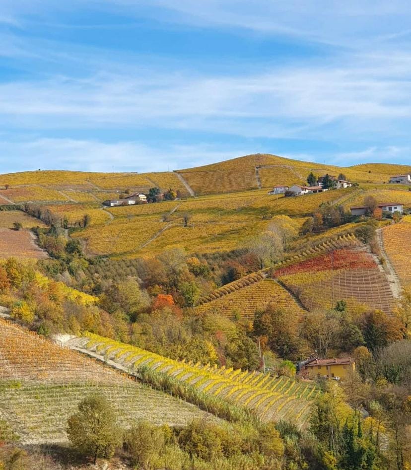 Casa Branzele Bed and Breakfast in Piedmont