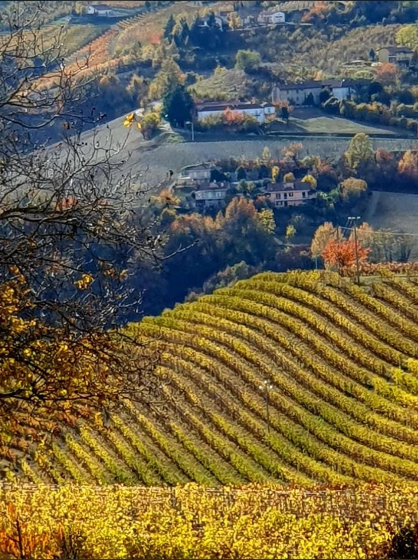 Casa Branzele Bed and Breakfast in Piedmont